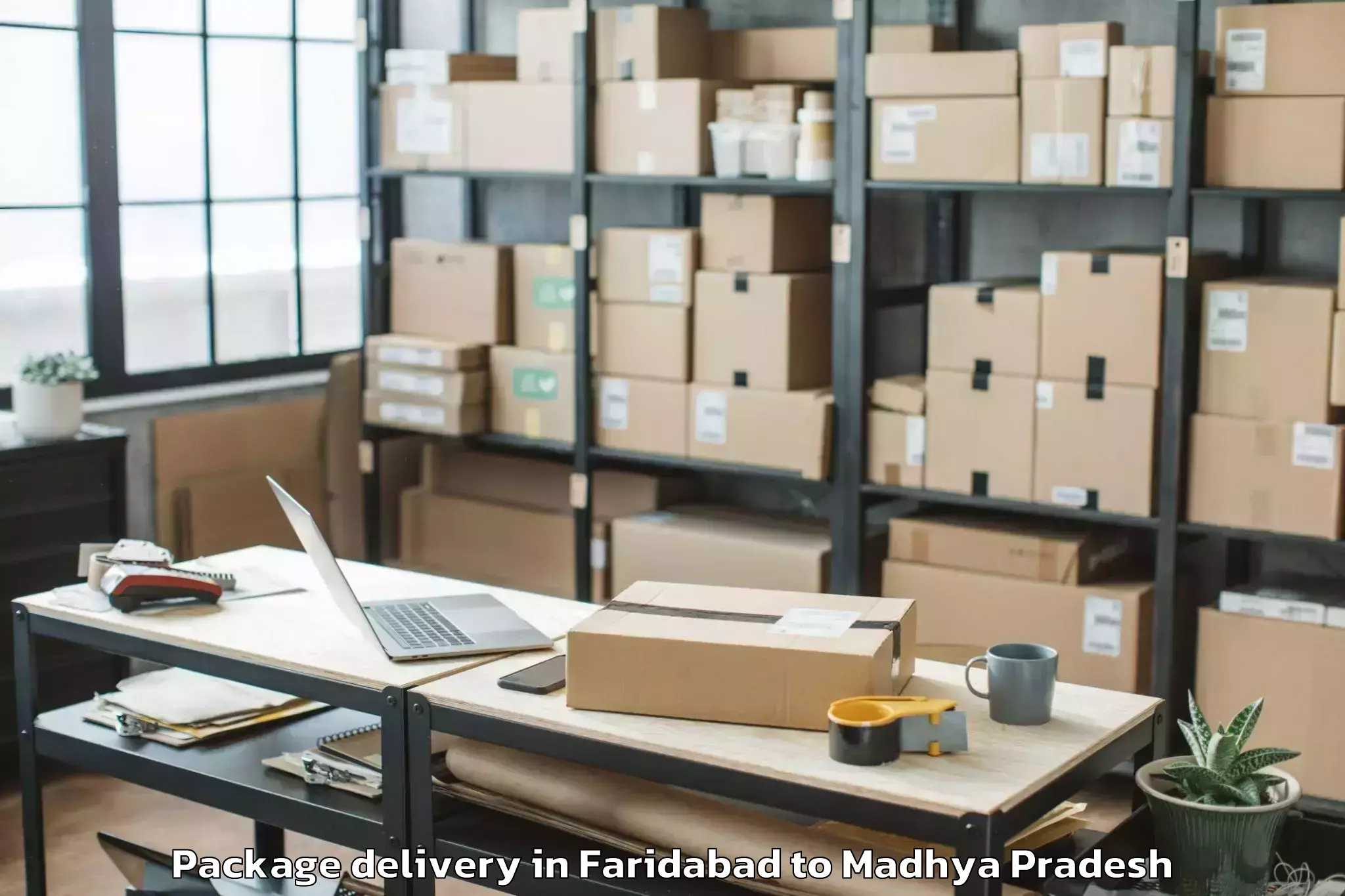 Easy Faridabad to Khilchipur Package Delivery Booking